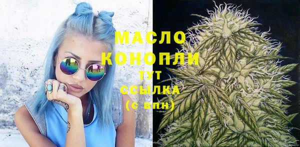 гидра Краснослободск