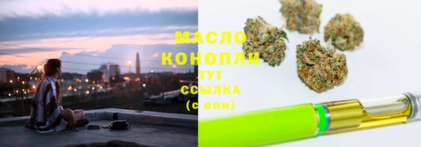 гидра Краснослободск