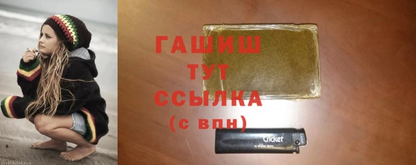 гидра Краснослободск