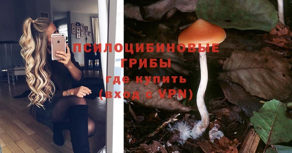 гидропоника Коряжма