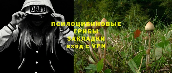 альфа пвп Краснотурьинск