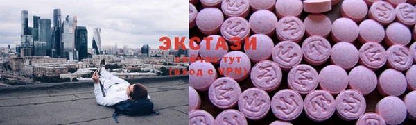 гидра Краснослободск