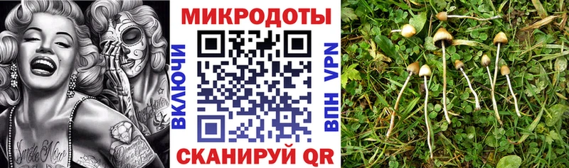 Галлюциногенные грибы мухоморы Куйбышев