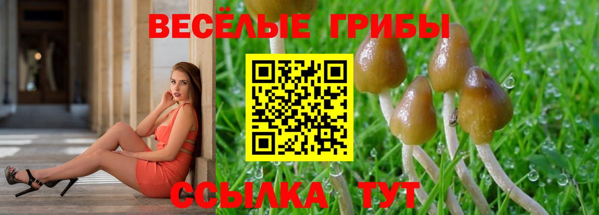 Псилоцибиновые грибы ЛСД  Вход с VPN  Галлюциногенные грибы ЛСД  цена наркотик  Куйбышев 